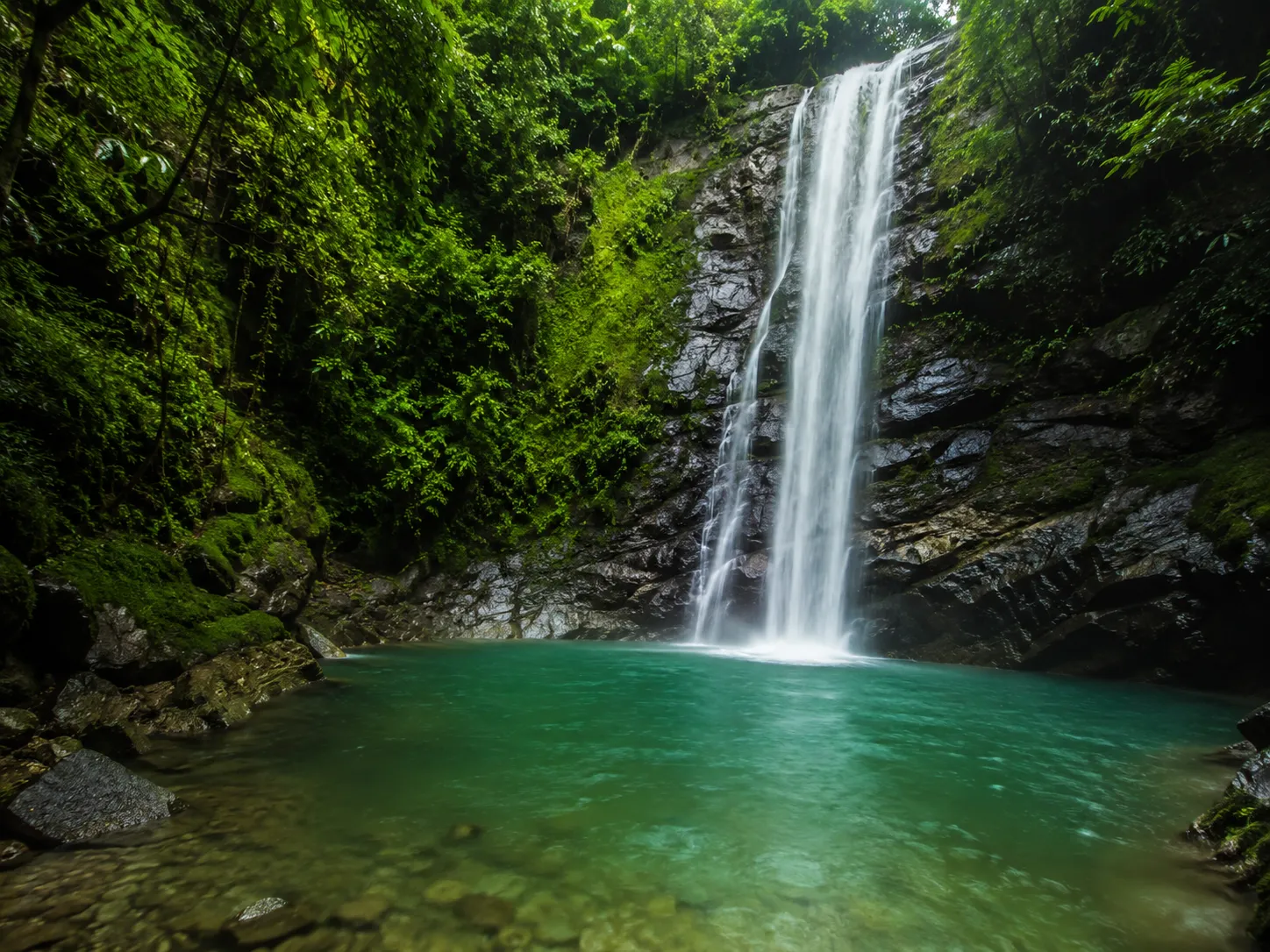 Cascada rodeada de vegetación tropical