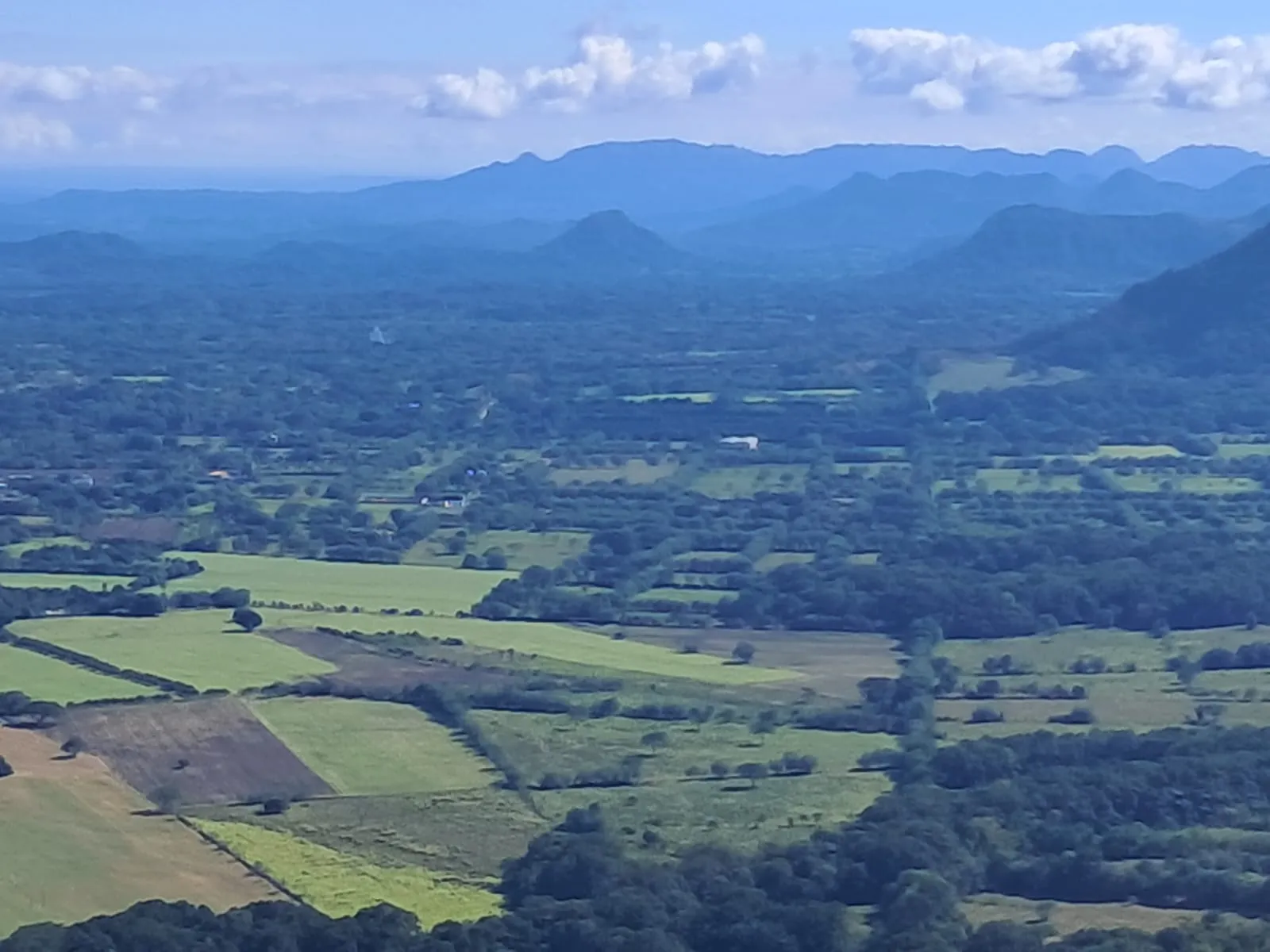 Sendero en la selva del Tolima