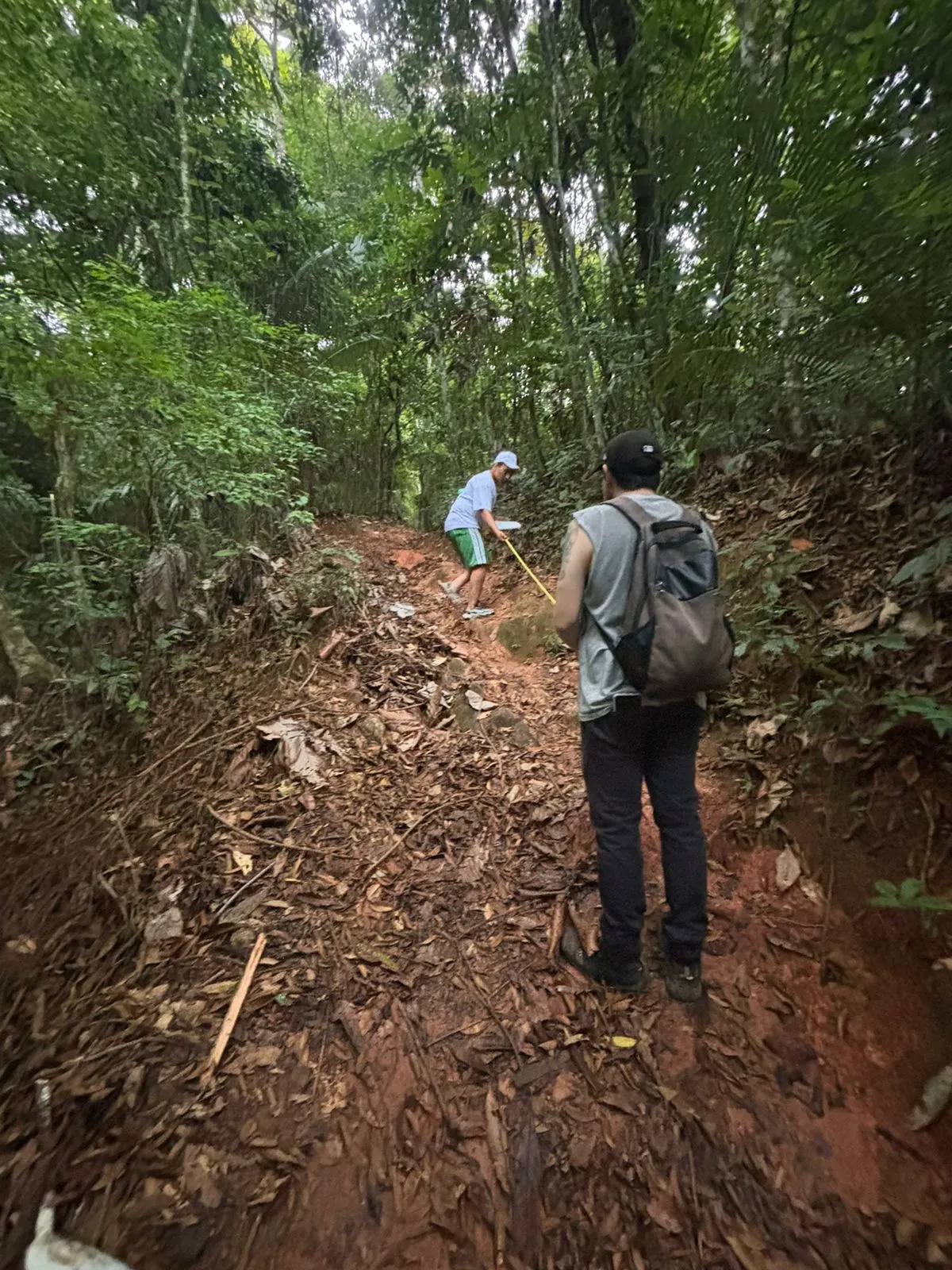 Sendero en la selva del Tolima
