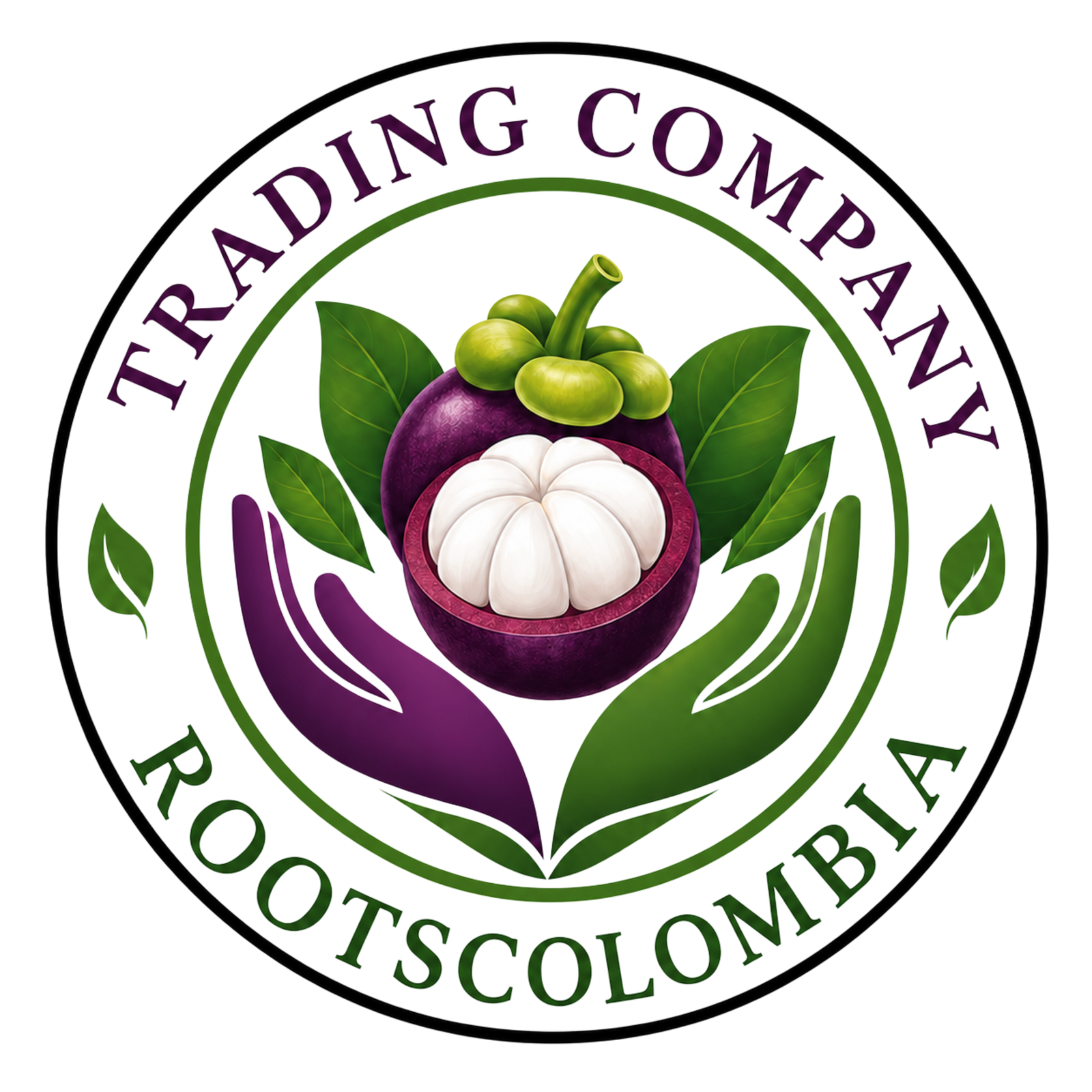 rootscolombia.com